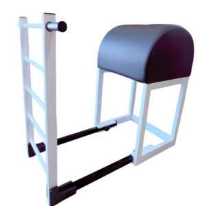 Ladder Barrel Fisiotec